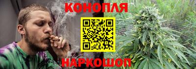 индика Ярцево