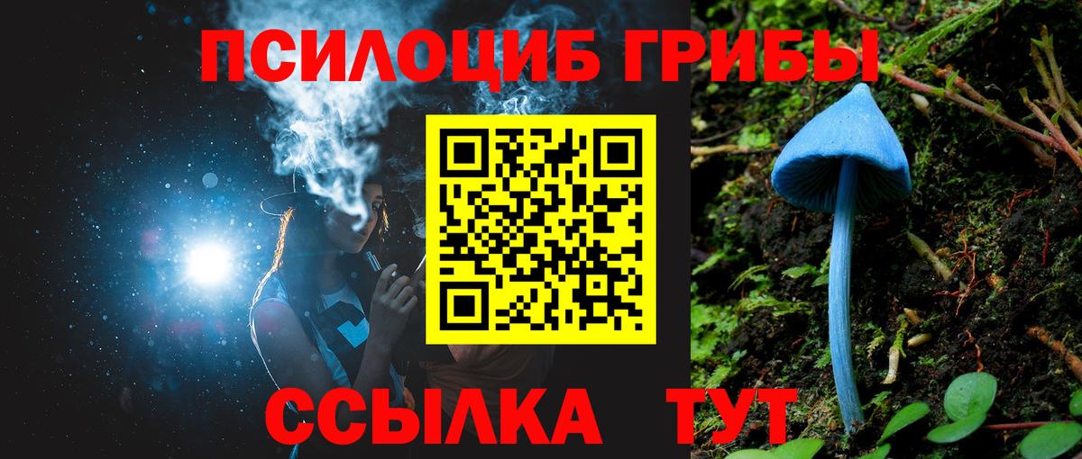 Красногорск  Галлюциногенные грибы Psilocybine cubensis  наркошоп  Вход с VPN 