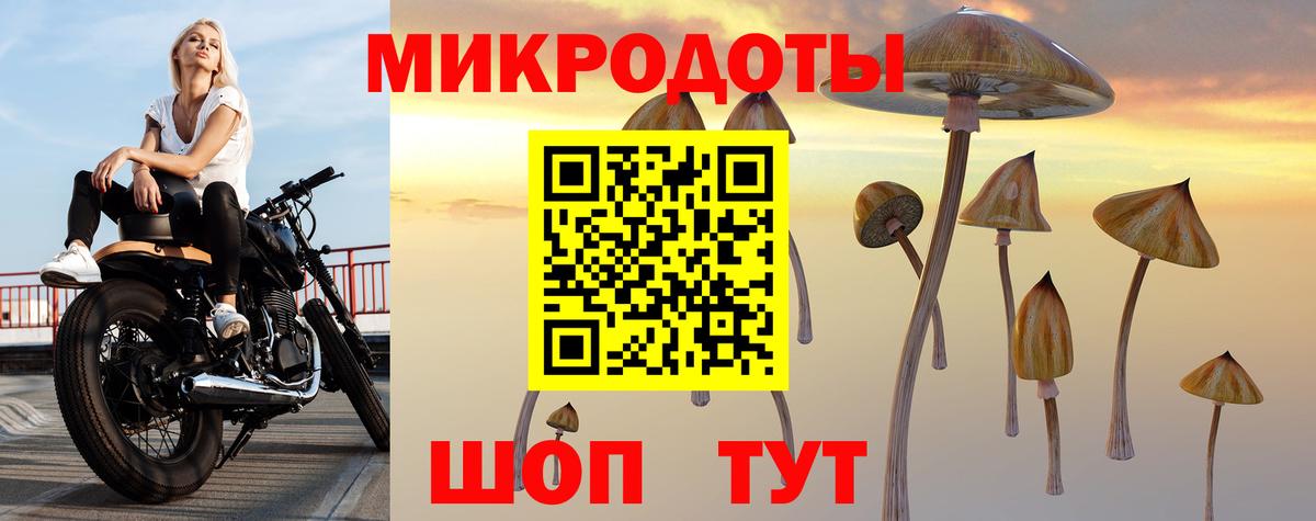 Галлюциногенные грибы Magic Shrooms Красногорск